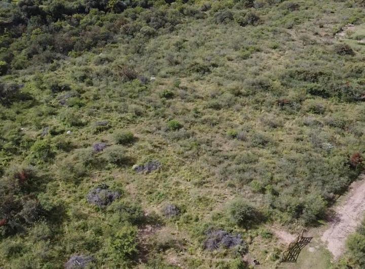 Lote en Achiras Arriba, Traslasierra — Venta de Terreno 4.000 M2 en Achiras Arriba, Traslasierra!! — Venta, foto 8 de 8