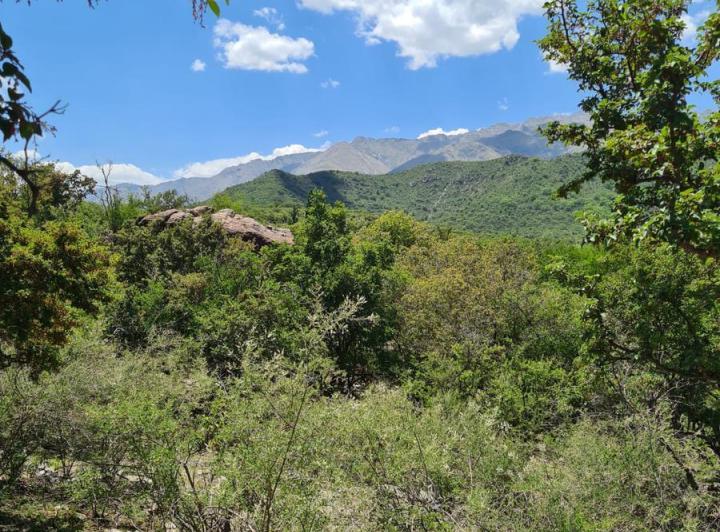 Lote en Las Chacras — Terrenos Exclusivos!! en Traslasierra > Las Chacras > Villa de Las Rosas — Venta, foto 1 de 5