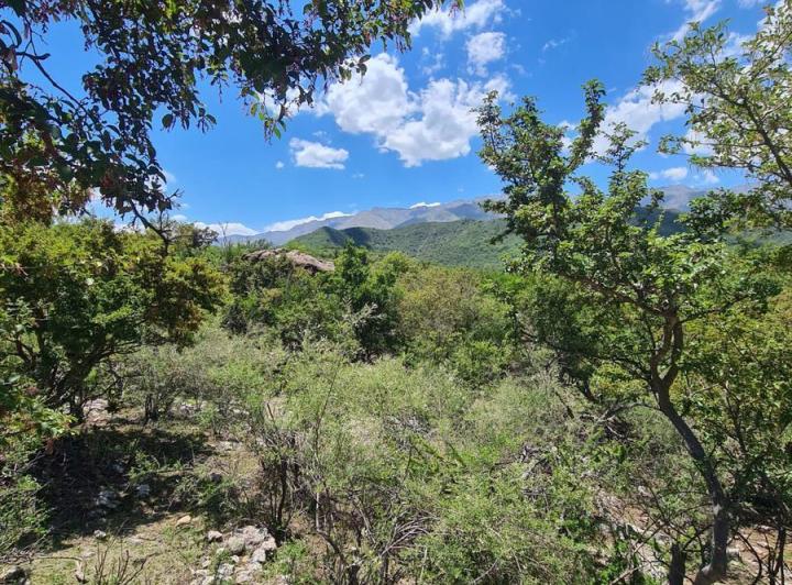 Lote en Las Chacras — Terrenos Exclusivos!! en Traslasierra > Las Chacras > Villa de Las Rosas — Venta, foto 2 de 5