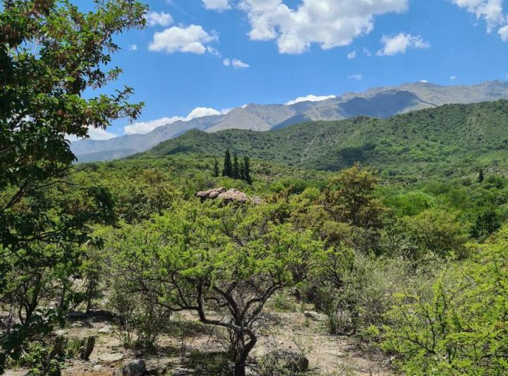 Lote en Las Chacras — Terrenos Exclusivos!! en Traslasierra > Las Chacras > Villa de Las Rosas — Venta, foto 3 de 5
