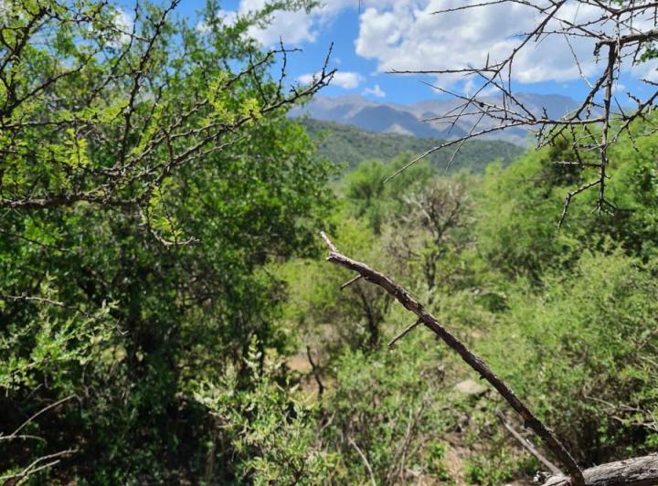 Lote en Las Chacras — Terrenos Exclusivos!! en Traslasierra > Las Chacras > Villa de Las Rosas — Venta, foto 4 de 5
