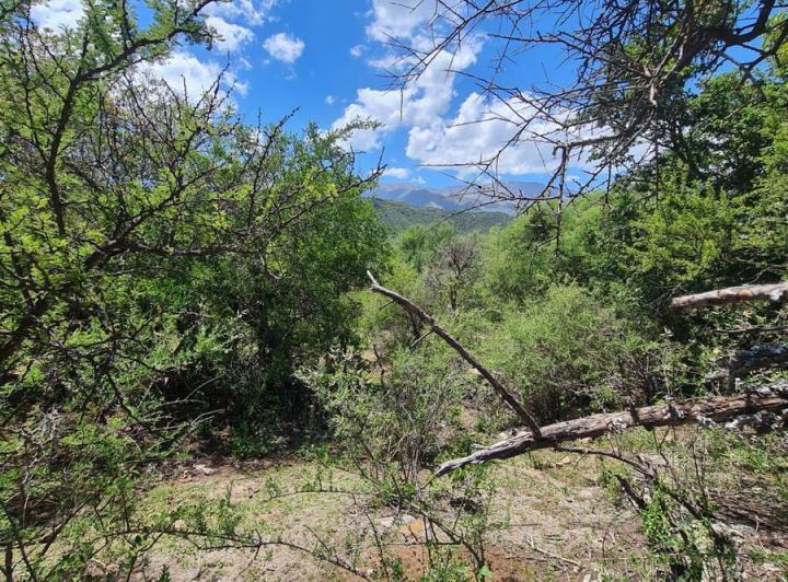Lote en Las Chacras — Terrenos Exclusivos!! en Traslasierra > Las Chacras > Villa de Las Rosas — Venta, foto 5 de 5
