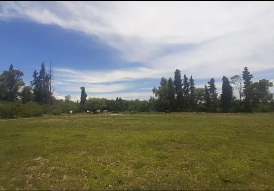 Casa 1 ambiente en San Pedro — En Venta Casa de 1 Ambiente con 1 Hectárea en San Pedro, Traslasierra!! — Venta, foto 5 de 7