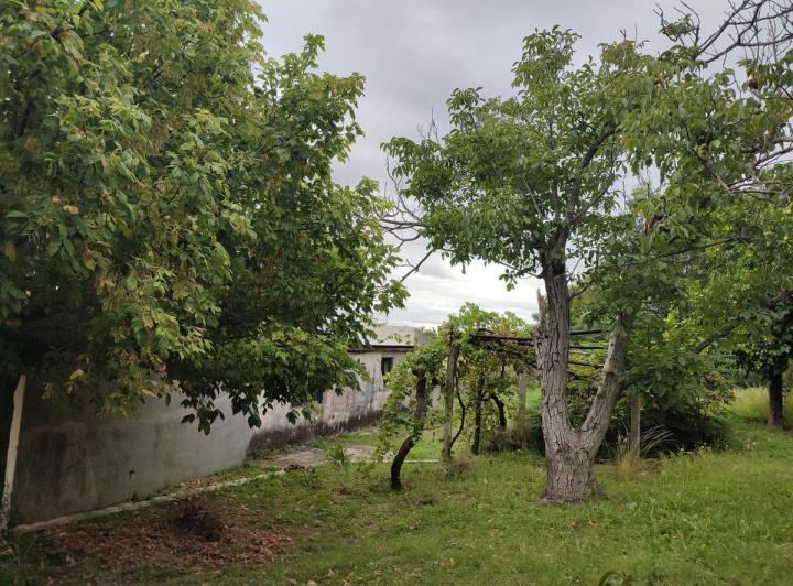 Casa en Achiras Arriba — Csa en Pleno Achiras Arriba,,,traslasierras!!! — Venta, foto 5 de 8