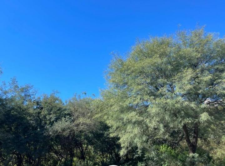 Lote en La Deseada Country — Manzana 13, Lote 57 — Venta, foto 5 de 8