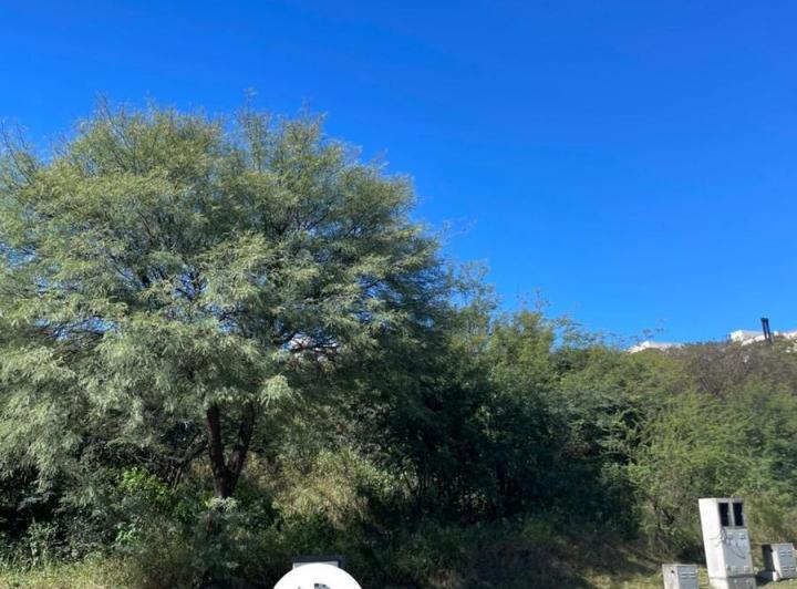 Lote en La Deseada Country — Manzana 13, Lote 57 — Venta, foto 6 de 8