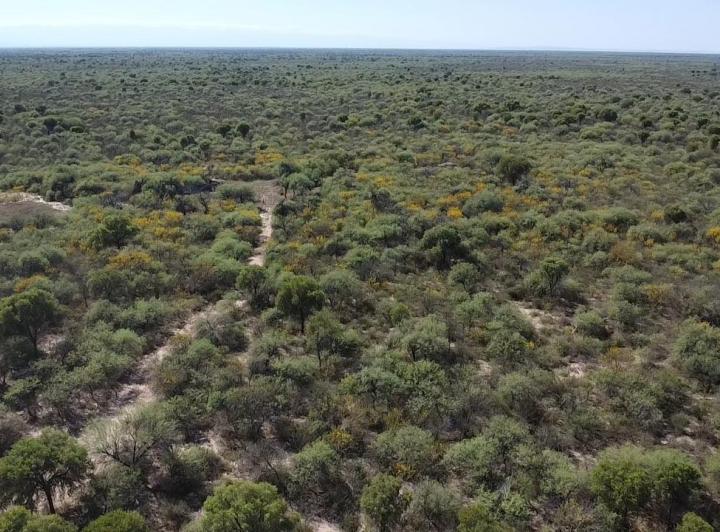 Campo en La Concepción — Campo Ganadero en Venta en La Concepción, Traslasierra!! — Venta, foto 1 de 8