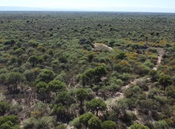 Campo en La Concepción — Campo Ganadero en Venta en La Concepción, Traslasierra!! — Venta, foto 2 de 8