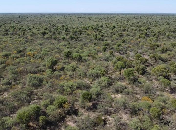 Campo en La Concepción — Campo Ganadero en Venta en La Concepción, Traslasierra!! — Venta, foto 3 de 8