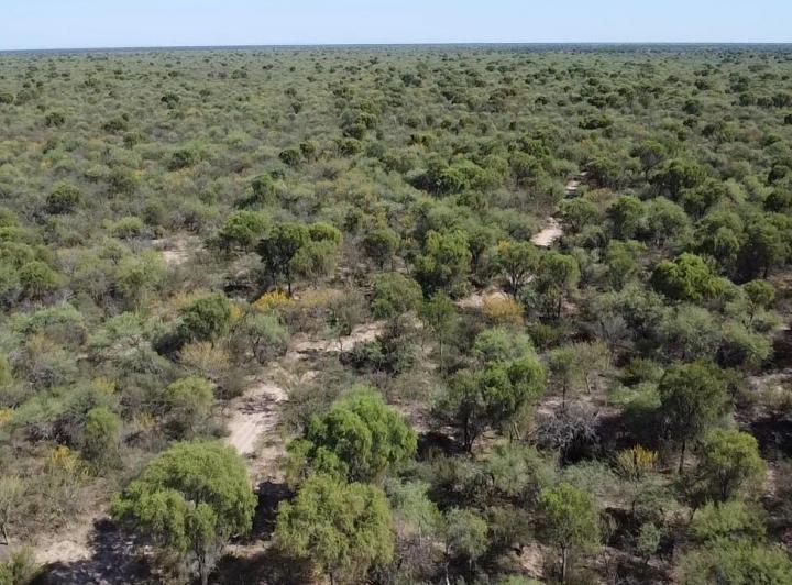 Campo en La Concepción — Campo Ganadero en Venta en La Concepción, Traslasierra!! — Venta, foto 4 de 8