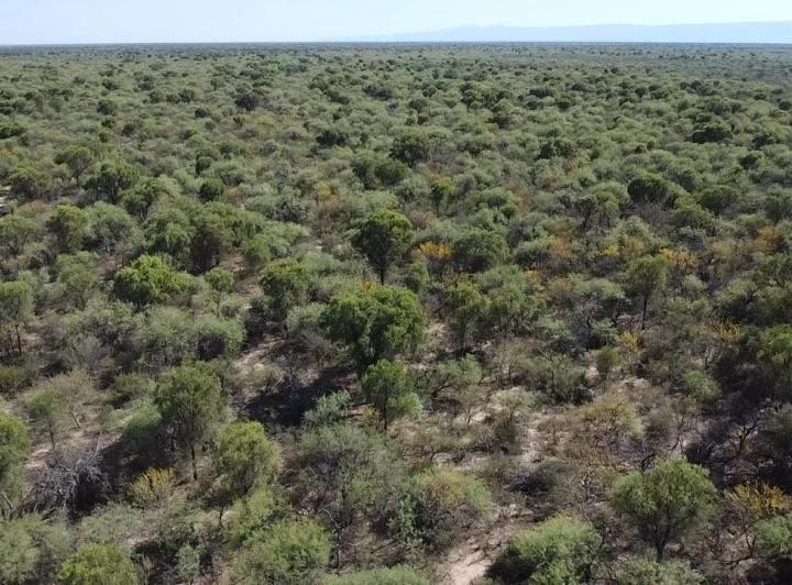 Campo en La Concepción — Campo Ganadero en Venta en La Concepción, Traslasierra!! — Venta, foto 5 de 8