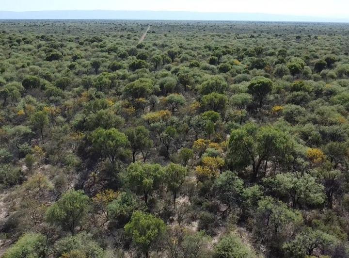Campo en La Concepción — Campo Ganadero en Venta en La Concepción, Traslasierra!! — Venta, foto 6 de 8