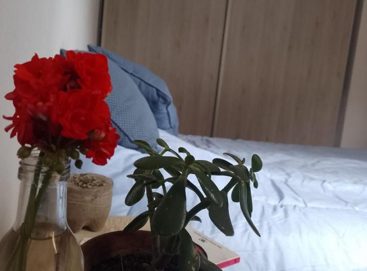 Casa 3 ambientes en La Paz — La Paz, Traslasierra! Casa en Venta!! — Venta, foto 5 de 8