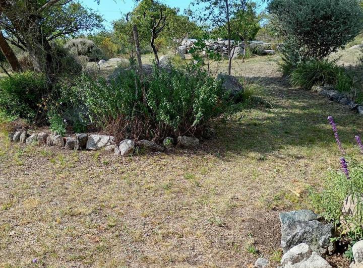 Casa en Achiras Arriba — Casa en Venta con Terreno de 1,4 Hectáreas en Achiras Arriba Traslasierra!! — Venta, foto 6 de 8