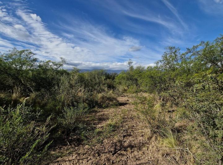 Campo en Yacanto Traslasierra — Campo de 50 Hectáreas en Venta en Yacanto Traslasierra!! — Venta, foto 6 de 8