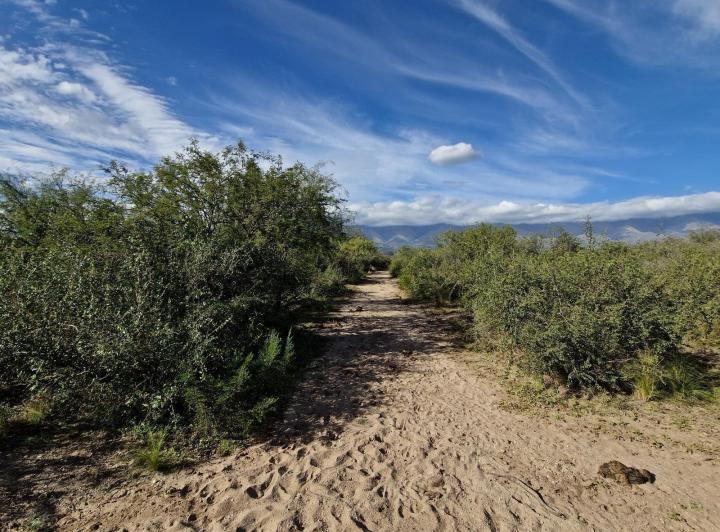 Campo en Yacanto Traslasierra — Campo de 50 Hectáreas en Venta en Yacanto Traslasierra!! — Venta, foto 7 de 8