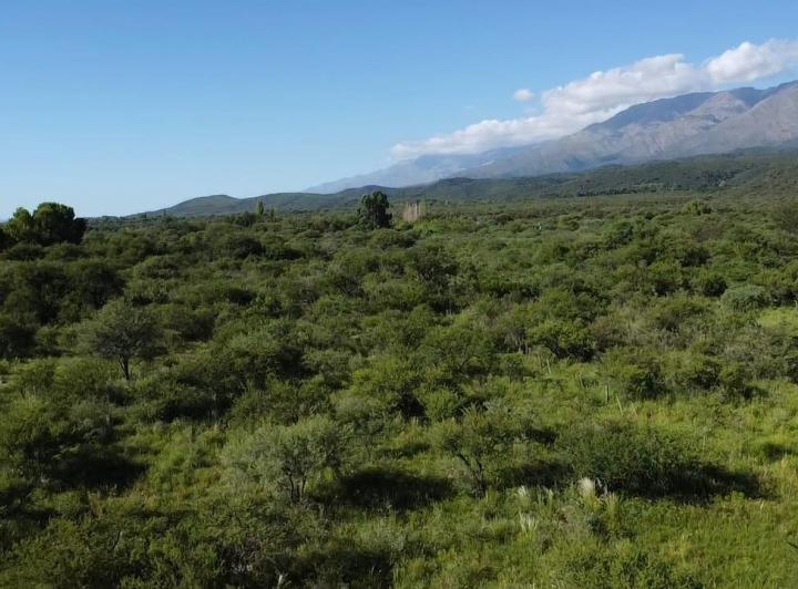 Lote en La Paz, Córdoba — La Paz San Javier Córdoba — Venta, foto 8 de 8
