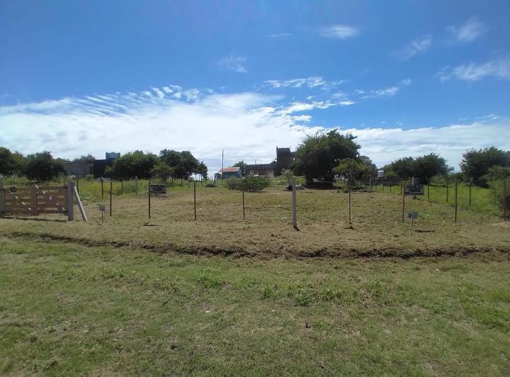 Lote en Lomas de Anisacate — Lomas de Anisacate al 100 — Venta, foto 1 de 7