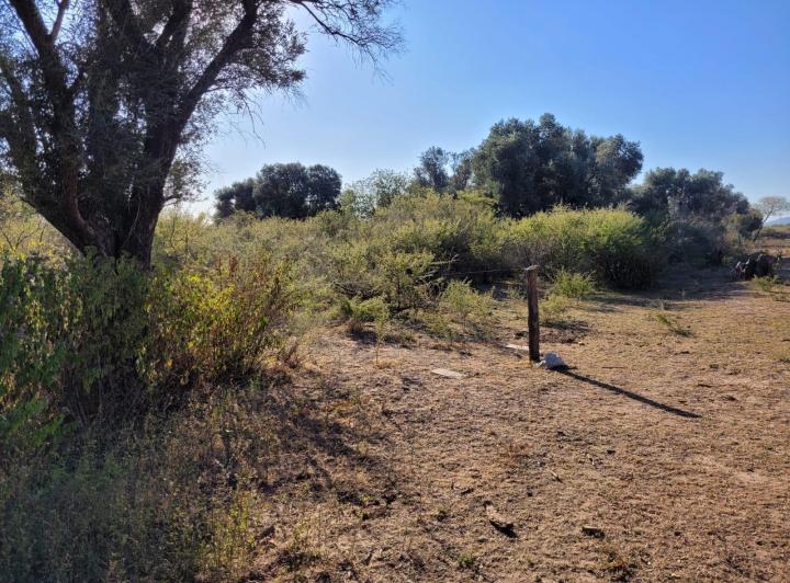 Lote en San Javier — San Javier Cordoba Traslasierra — Venta, foto 8 de 8