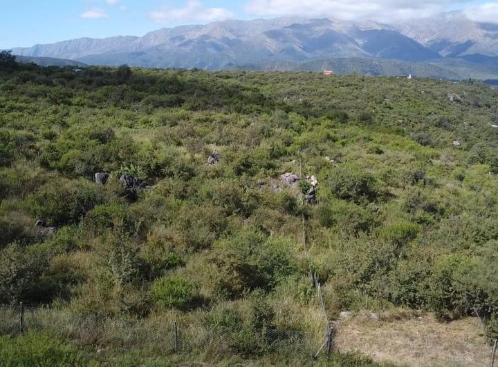 Lote en Los Pozos — Terreno Tremenda Vista A LAS Sierras LOS Pozos - VA. DE LAS Rosas Traslasierra!! — Venta, foto 8 de 8