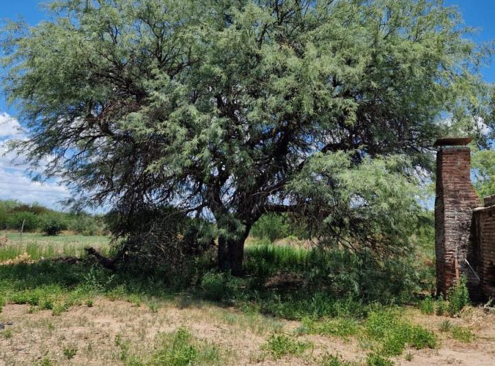 Campo en Venta en Ruta 148, La Paz, Traslasierra — Campo de 35,5 Hectareas en Venta en Ruta 148 La Paz, Traslasierra!!! — Venta, foto 2 de 8