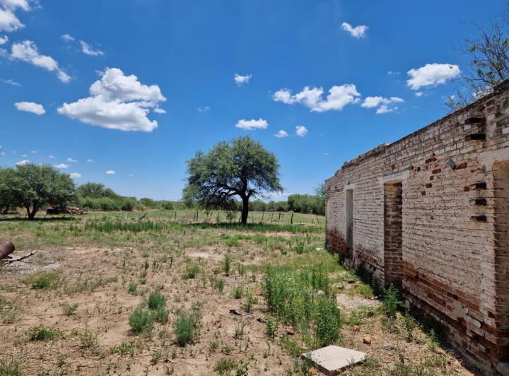 Campo en Venta en Ruta 148, La Paz, Traslasierra — Campo de 35,5 Hectareas en Venta en Ruta 148 La Paz, Traslasierra!!! — Venta, foto 3 de 8