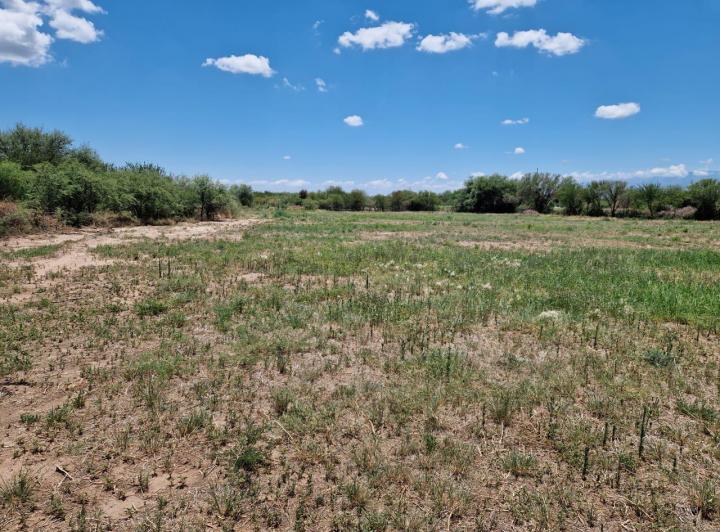Campo en Venta en Ruta 148, La Paz, Traslasierra — Campo de 35,5 Hectareas en Venta en Ruta 148 La Paz, Traslasierra!!! — Venta, foto 4 de 8