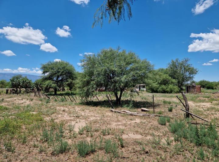 Campo en Venta en Ruta 148, La Paz, Traslasierra — Campo de 35,5 Hectareas en Venta en Ruta 148 La Paz, Traslasierra!!! — Venta, foto 8 de 8