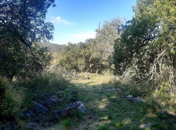 Lote en La Travesia — Impecables 5 Hectareas en Venta en La Travesia, Traslasierras!! — Venta, foto 2 de 8