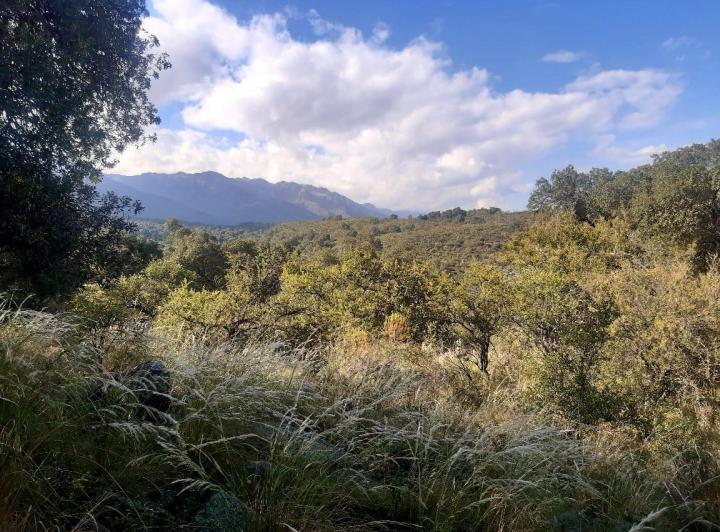 Lote en La Travesia — Impecables 5 Hectareas en Venta en La Travesia, Traslasierras!! — Venta, foto 3 de 8