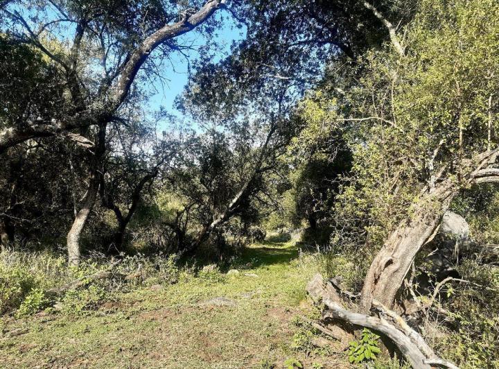 Lote en La Travesia — Impecables 5 Hectareas en Venta en La Travesia, Traslasierras!! — Venta, foto 4 de 8