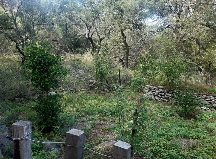 Lote en La Travesia — Impecables 5 Hectareas en Venta en La Travesia, Traslasierras!! — Venta, foto 5 de 8