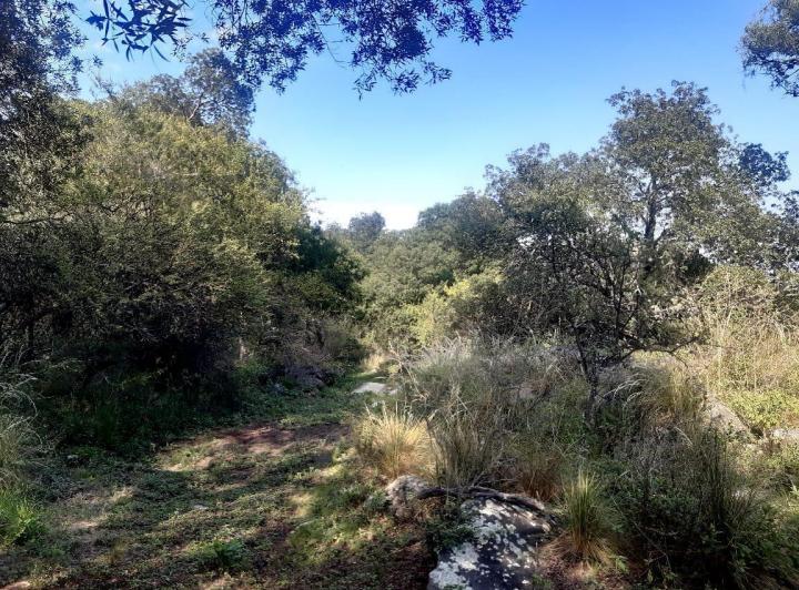 Lote en La Travesia — Impecables 5 Hectareas en Venta en La Travesia, Traslasierras!! — Venta, foto 6 de 8