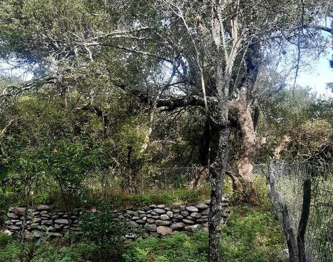 Lote en La Travesia — Impecables 5 Hectareas en Venta en La Travesia, Traslasierras!! — Venta, foto 7 de 8