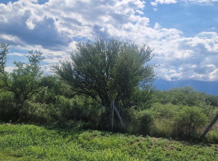 Lote en Las Tapias — Terreno en Venta 1890 m2 en Las Tapias, Escritura. Traslasierra!! — Venta, foto 2 de 8