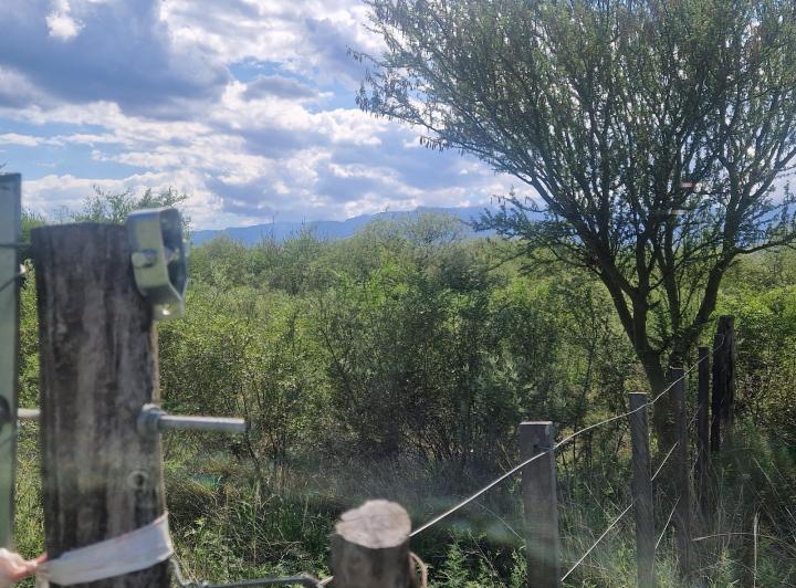Lote en Las Tapias — Terreno en Venta 1890 m2 en Las Tapias, Escritura. Traslasierra!! — Venta, foto 6 de 8