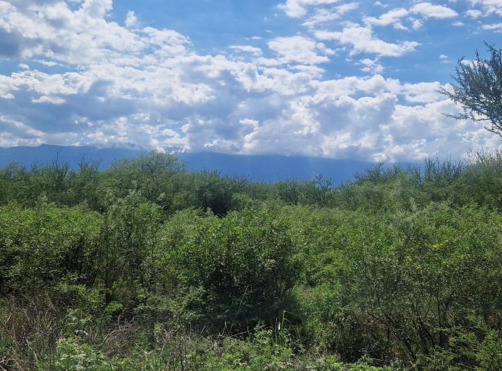 Lote en Las Tapias — Terreno en Venta 1890 m2 en Las Tapias, Escritura. Traslasierra!! — Venta, foto 7 de 8