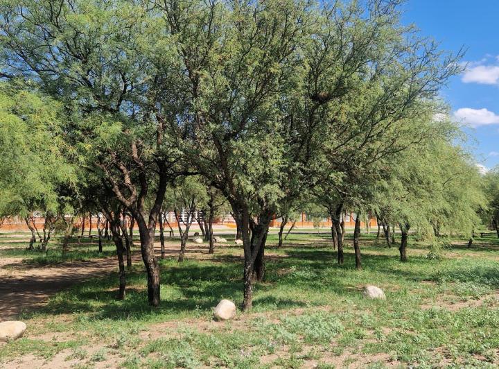 Lote en Las Tapias — Terreno en Venta 1890 m2 en Las Tapias, Escritura. Traslasierra!! — Venta, foto 8 de 8