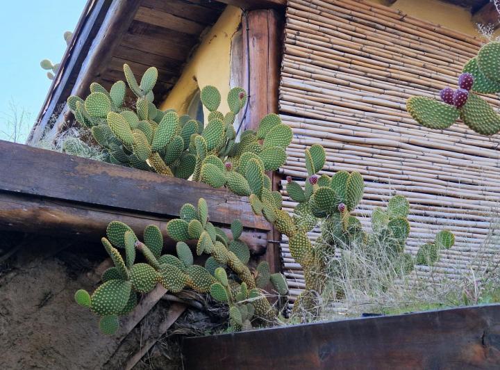 Casa 2 ambientes en El Pueblito, San Javier — Casa en Venta, Superadobe en El Pueblito, San Javier Traslasierra!! — Venta, foto 5 de 8