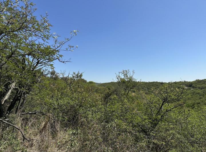 Lote en Venta en Vistas de La Deseada — Av Ejercito Argentino al 300 — Venta, foto 7 de 8