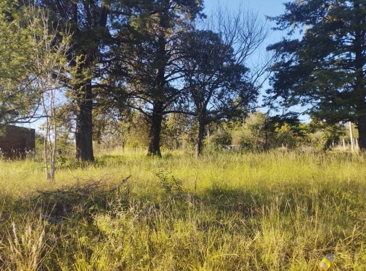 Lote en Comenchingones — Venta, foto 1 de 8