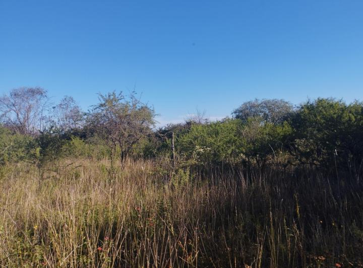 Lote en Comenchingones — Venta, foto 2 de 8