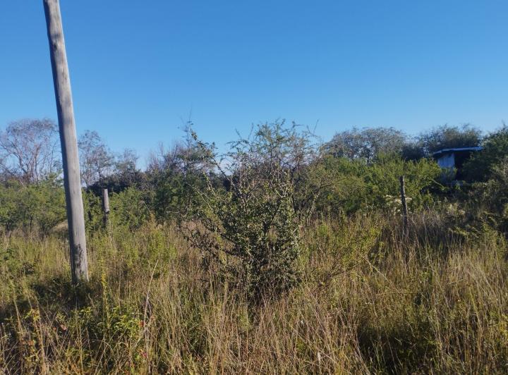 Lote en Comenchingones — Venta, foto 3 de 8