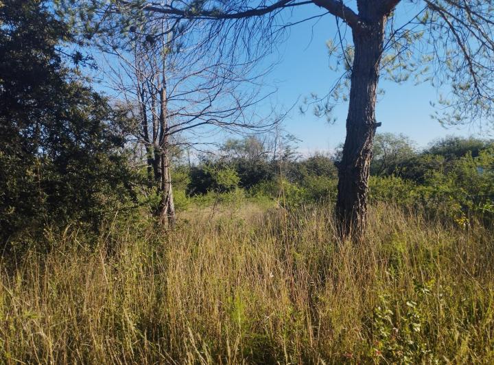 Lote en Comenchingones — Venta, foto 5 de 8