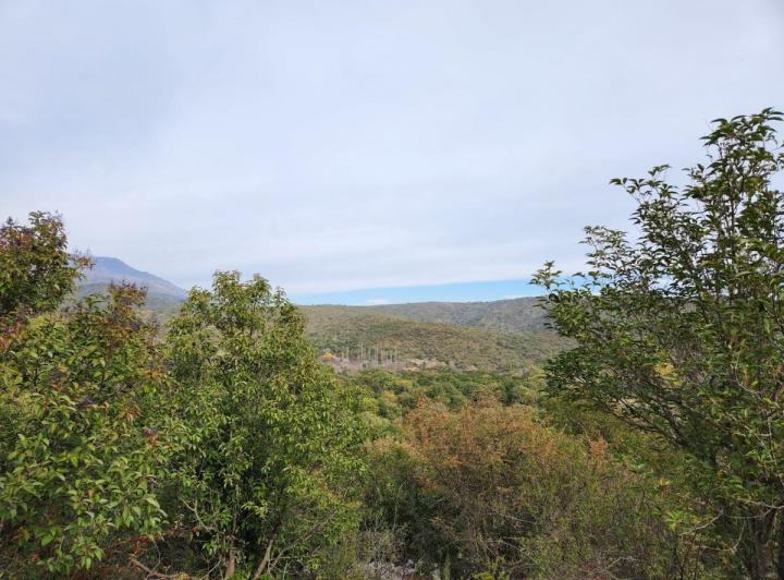 Lote en Los Hornillos — Terrenos en Venta en Los Hornillos, Ubicación Favorita!!, Traslasierra. Unicos!! — Venta, foto 5 de 8