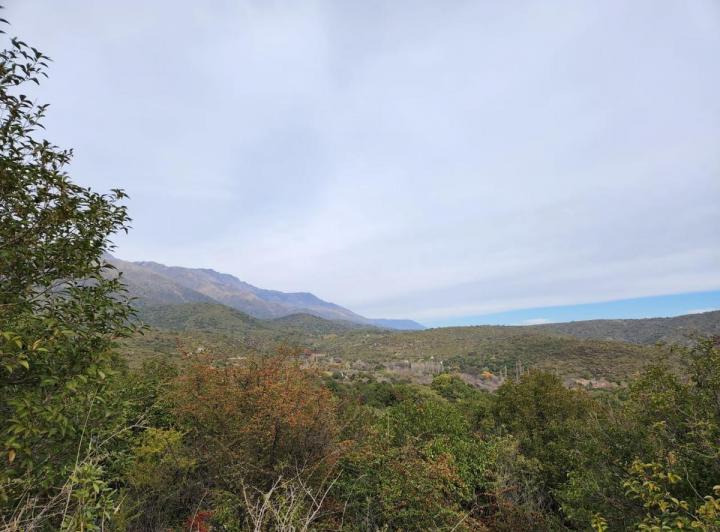 Lote en Los Hornillos — Terrenos en Venta en Los Hornillos, Ubicación Favorita!!, Traslasierra. Unicos!! — Venta, foto 6 de 8