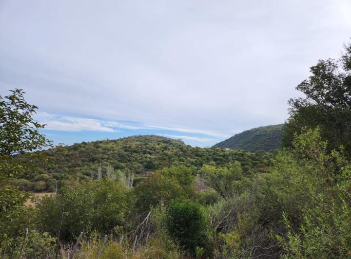 Lote en Los Hornillos — Terrenos en Venta en Los Hornillos, Ubicación Favorita!!, Traslasierra. Unicos!! — Venta, foto 7 de 8