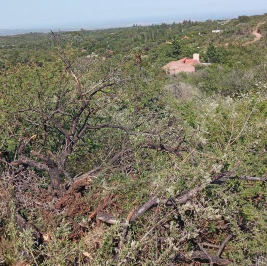 Lote en Papagayos — Papagayos. Dpto. Chacabuco. Provincia de San Luis — Venta, foto 4 de 8