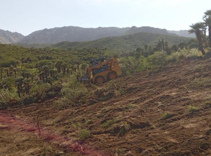 Lote en Papagayos — Papagayos. Dpto. Chacabuco. Provincia de San Luis — Venta, foto 5 de 8