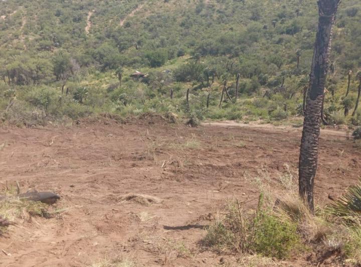 Lote en Papagayos — Papagayos. Dpto. Chacabuco. Provincia de San Luis — Venta, foto 6 de 8